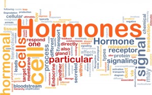 hormones_shutterstock_77777350